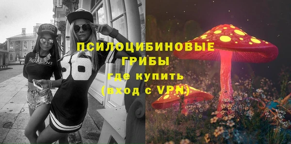 ПСИЛОЦИБИНОВЫЕ ГРИБЫ Баксан